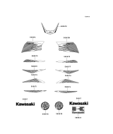 KAWASAKI, KSF50B7F 2007,KSF50B8F 2008,KSF50B9S 2009, AUFKLEBER(GRÜN)(B9F)